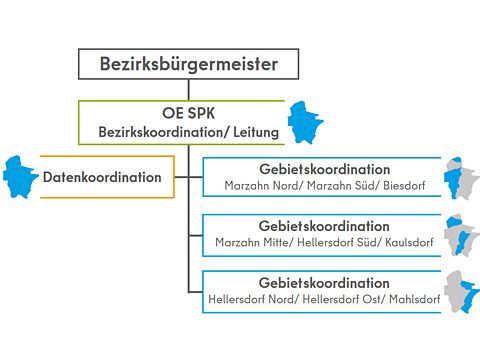Organigramm Sozialraumorientierte Planungskoordination Marzahn-Hellersdorf