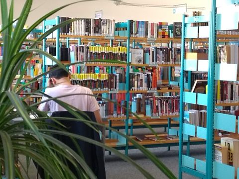 Student an Arbeitstisch hinter Pflanze zwischen Bücherregalen