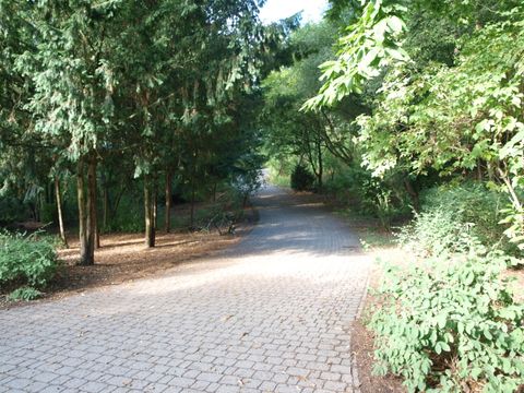 Volkspark Hasenheide in Neukölln - Weg