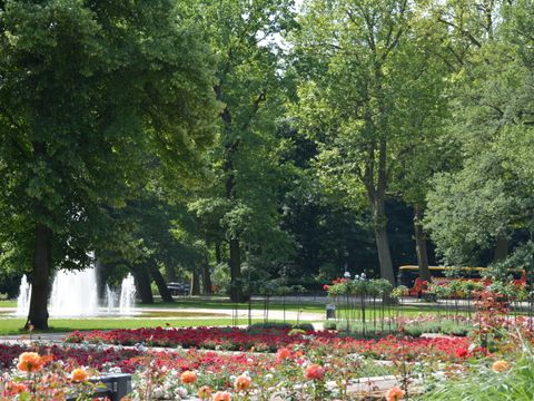 Blumenwiese im Treptower Park