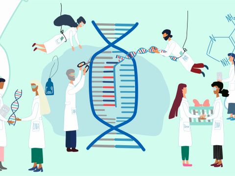 Wissenschaftler erforschen das menschliche Genom
