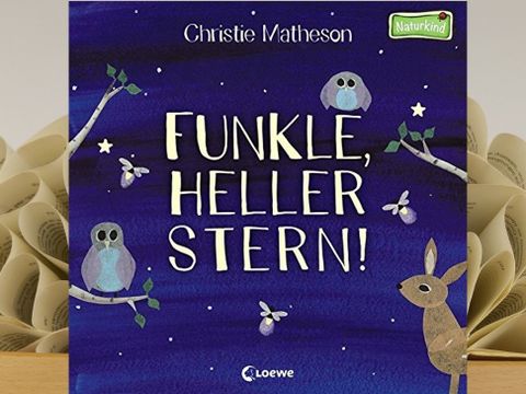 Cover des Buches "Funkle, heller Stern!"