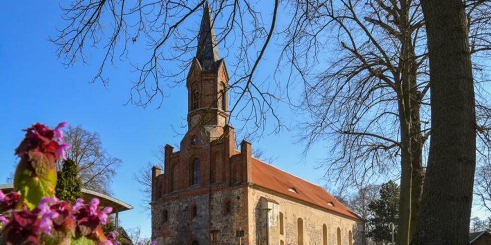 Blick auf die Klosterkirche Altfriedland im Vordergrund Blumen und ein Baum