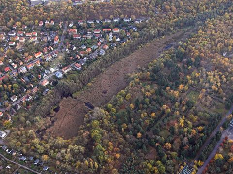 Bildvergrößerung: NSG und NATURA 2000-Gebiet Fließwiese Ruhleben, Luftbild
