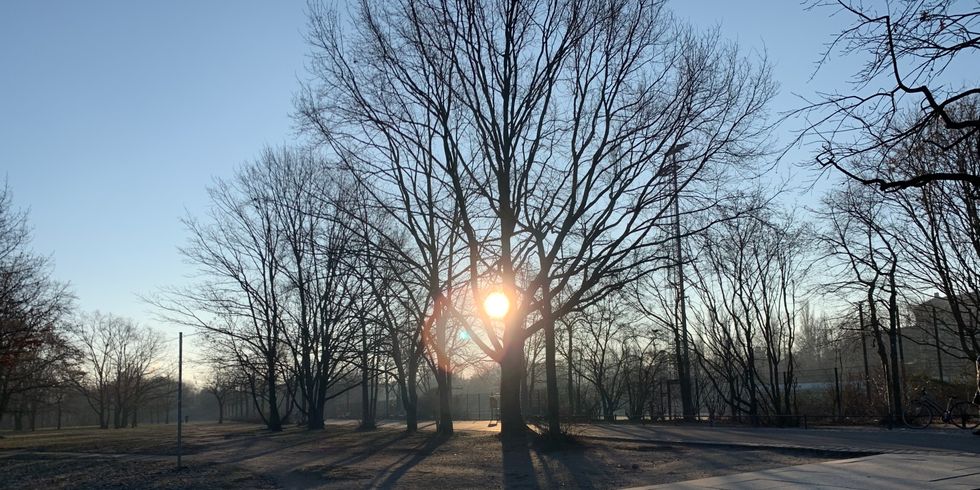 Bild von der Wegeführung im Görlitzer Park mit der Sonne im Hintergrund