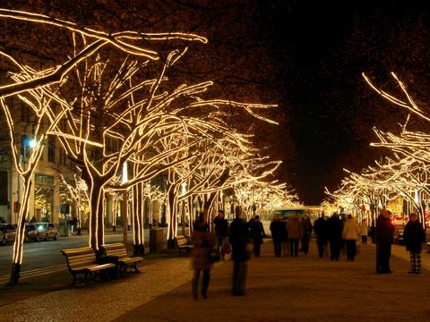 Bildvergrößerung: Weihnachtsbeleuchtung Unter den Linden