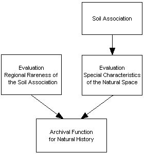 Figure 1: Plan for the evaluation of the archival function for natural history