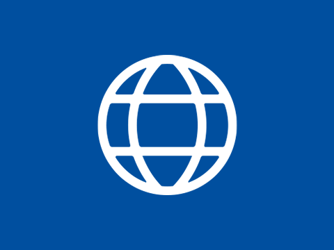 Icon International Service