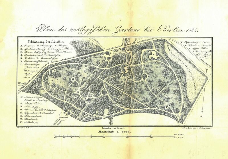 Plan des Zoologischen Gartens bei Berlin 1845