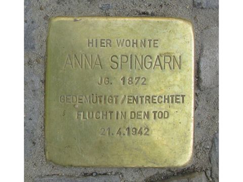 Stolperstein Anna Spingarn