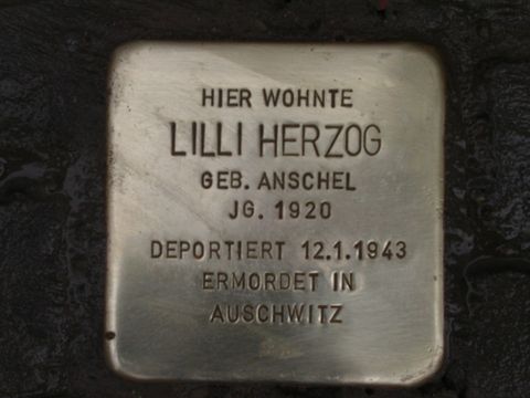 Stolperstein Lilli Herzog