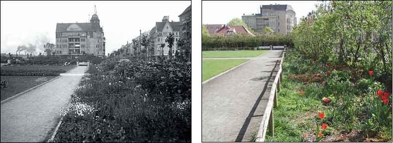 Fotovergleich historisch und heute - Staudenrabatten am Rand der Schmuckanlage auf dem Mierendorffplatz