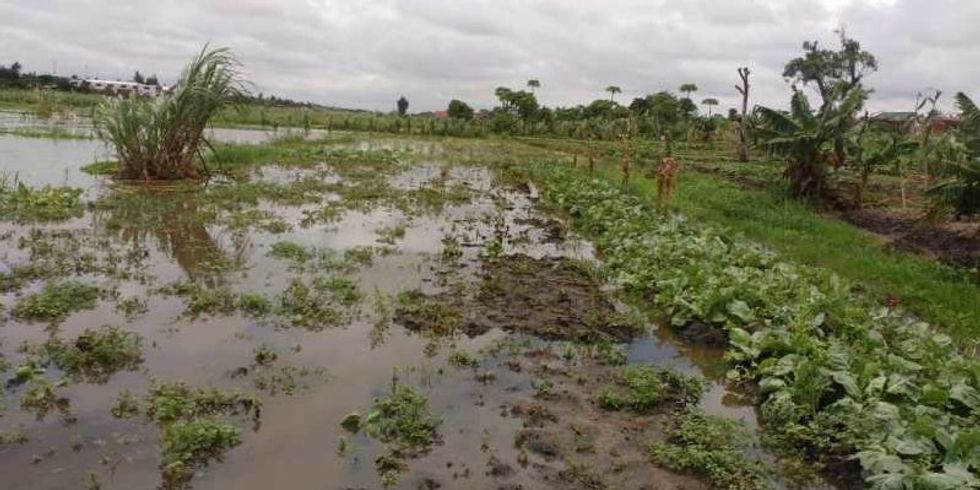 Ueberschwemmte Felder nach Sturm Eloise in Mosambik