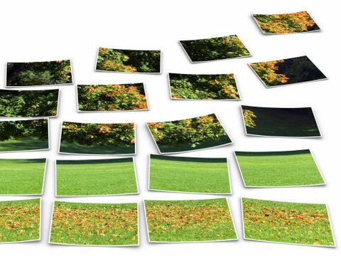Bildvergrößerung: FotoCollage - Baum im Herbst