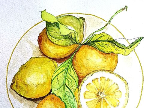 Zitronen .- Das Aquarell zeigt fünf leuchtend gelbe Zitrone mit runzeliger Schale, eine davon halbiert, mit drei Blättern auf einem angedeuteten Teller