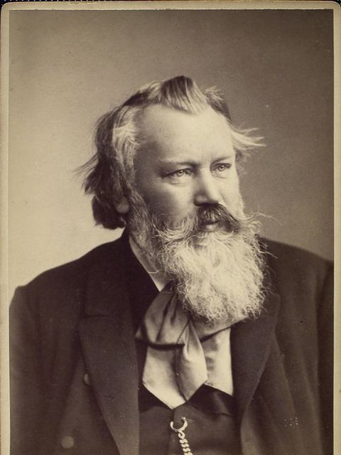 Portrait Johannes Brahms