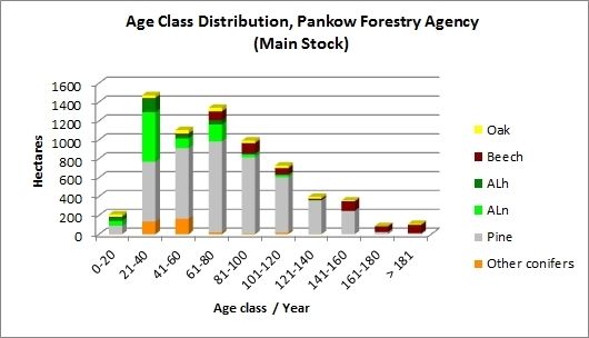 Fig. 13: Age-Class Distribution, Pankow Forestry Agency (Main Stock)