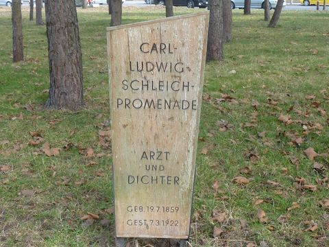 Gedenkstele für Carl-Ludwig Schleich, 1.3.2014, Foto: KHMM