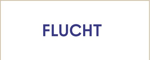 Logo Website StabInt Flucht groß