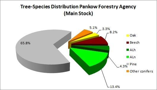 Fig. 12: Tree Species Distribution, Pankow Forestry Agency (Main Stock)