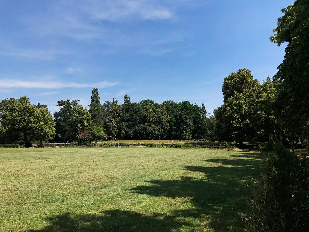 Bildvergrößerung: Volkspark Wittenau im Juni 2019