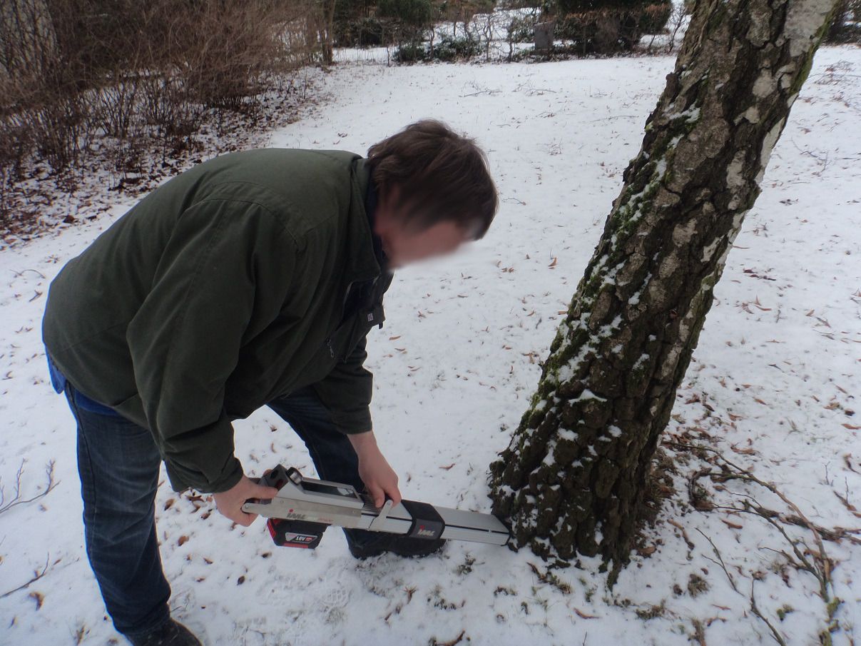 Ein Mann hält ein Gerät an einen Baumstamm