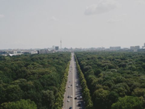 Blick auf die Straße des 17.Juni umgeben von Bäumen und dem Berliner Fernsehturm in der Ferne