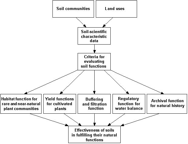 Fig. 1: Diagram for the evaluation of soil functions