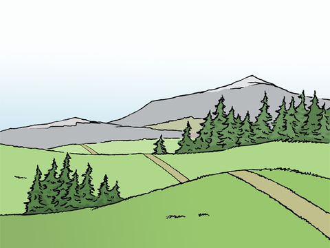 Illustration einer grünen Landschaft