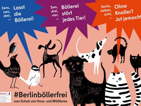 #Berlinböllerfrei - zum Schutz von Haus- und Wildtieren - Collage mit gezeichneten Haus- und Wildtieren, die ein Anti-Böller-Lied singen