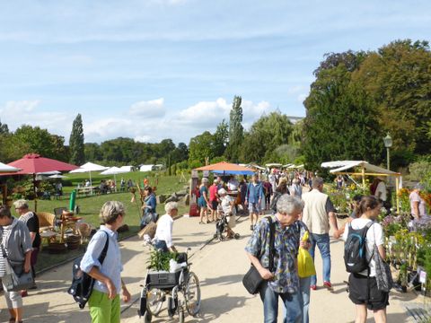 Staudenmarkt im Botanischen Garten