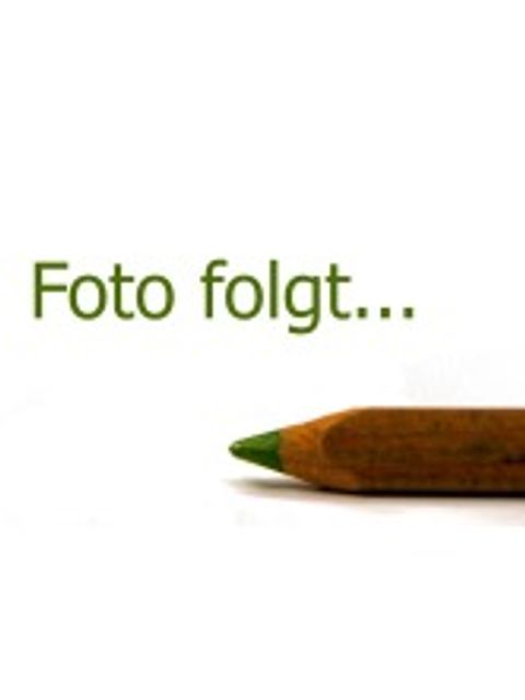 Schriftzug "Foto folgt" mit einem Buntstift