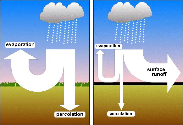 Fig. 1: Water balance in vegetation areas and impervious areas 