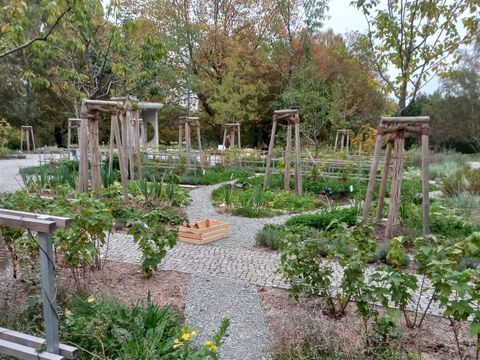 Eröffnung des Jüdischen Gartens in den 'Gärten der Welt' - Das Wegenetz und die Beete 2