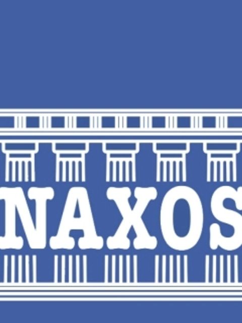 Logo mit Schriftzug Naxos
