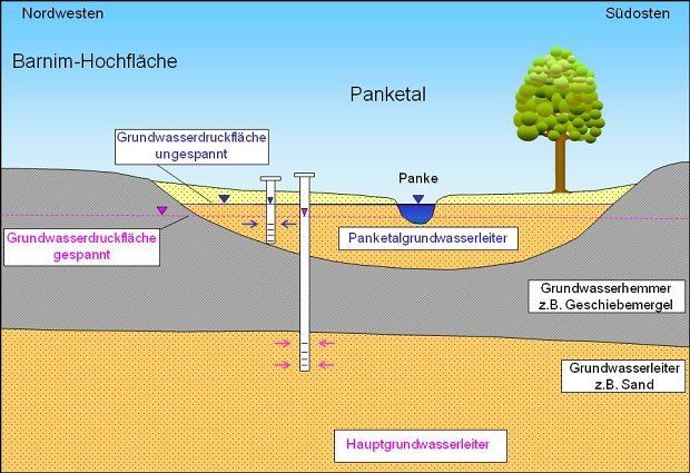 Abb. 8: Der ungespannte Panketalgrundwasserleiter (GWL 1) im nordwestlichen Bereich der Barnim-Hochfläche liegt über dem Hauptgrundwasserleiter (GWL 2), der hier gespannt ausgebildet ist