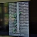 Bildvergrößerung: Videostill von einer Mauer, vor dem ein Efeu an einer Regenrinne hochrankt