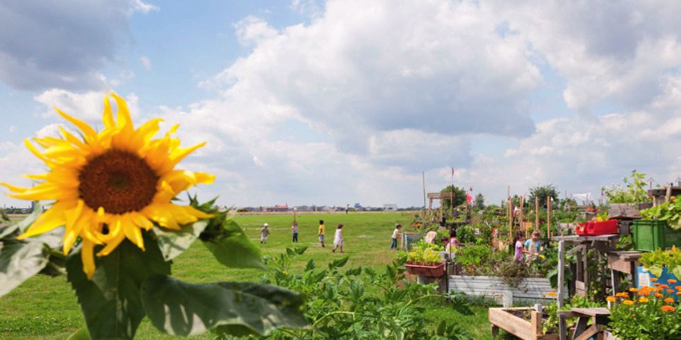 Auf dem Tempelhofer Feld, dem ehemaligen Flughafen Tempelhof, ist eine riesige Fläche entstanden, die zum Spielen, Radfahren, Drachensteigen und sogar zum Gärtnern einlädt