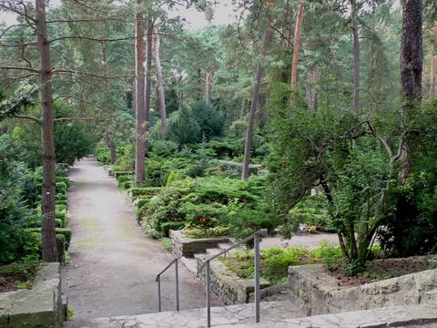 Bildvergrößerung: Waldfriedhof Dahlem Treppen