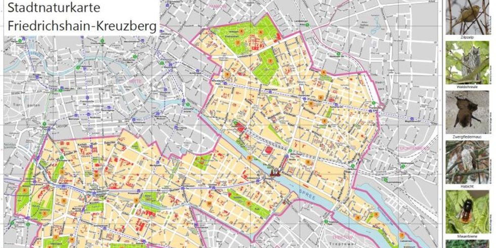 Stadtnaturkarte zeigt grüne Orte im Bezirk