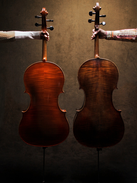 Es werden zwei Cellos mit dem Rücken ins Bild gehalten.