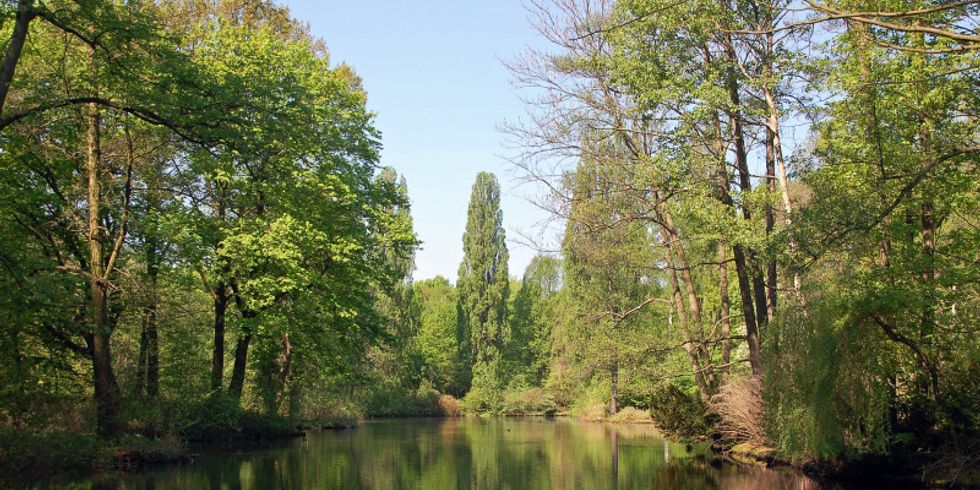 Landschaft am See im Tiergarten