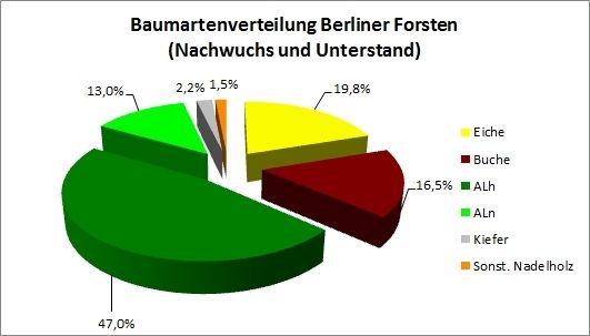 Abb. 3: Baumartenverteilung Berliner Forsten (Nachwuchs und Unterstand)