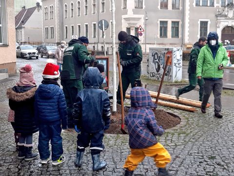 Kinder der KiTa Rabenkinder lernen Bäume pflanzen