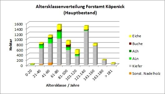 Abb. 11: Altersklassenverteilung Forstamt Köpenick (Hauptbestand) 