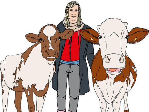 eine Skizze einer Frau die zwischen zwei Kühen steht