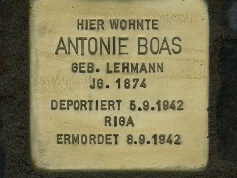 Stolperstein für Antonie Boas 