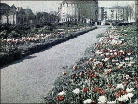 Erwin Barth - Karolingerplatz, Tulpenblüte, um 1914
