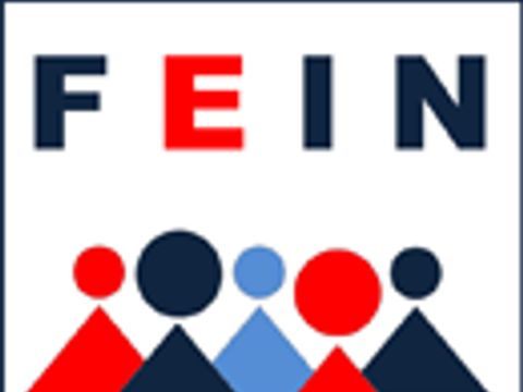 FEIN Mittel Logo
