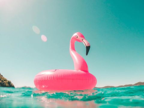 Rosa Flamingo-Schwimmtier auf Wasser